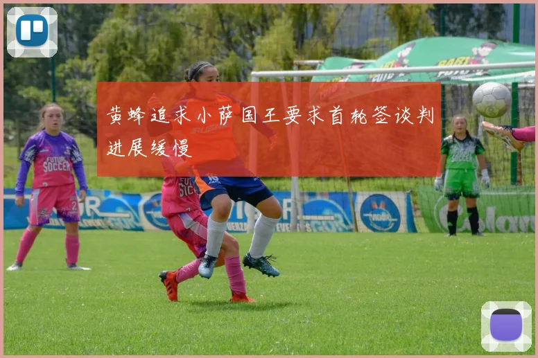 黄蜂追求小萨国王要求首轮签谈判进展缓慢